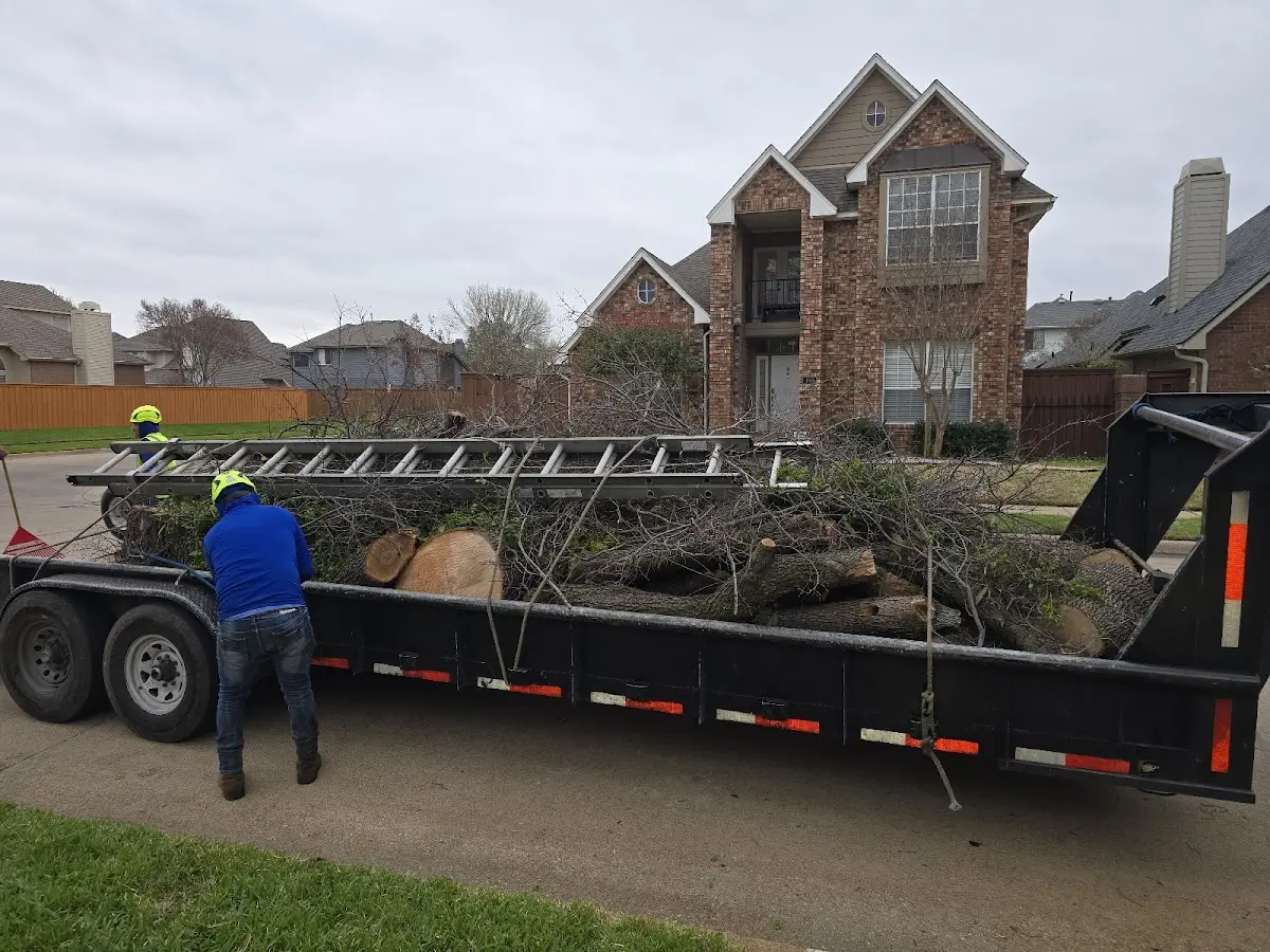 Expert Tree Fertilization with proper safety equipment in Stevensville